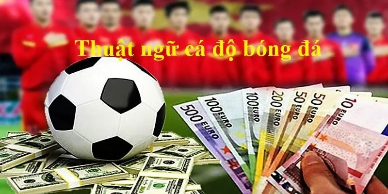 thuật ngữ cá độ bóng đá